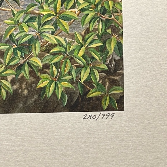 Unframed Dempsey Essick drawing print - Picture 3 of 4